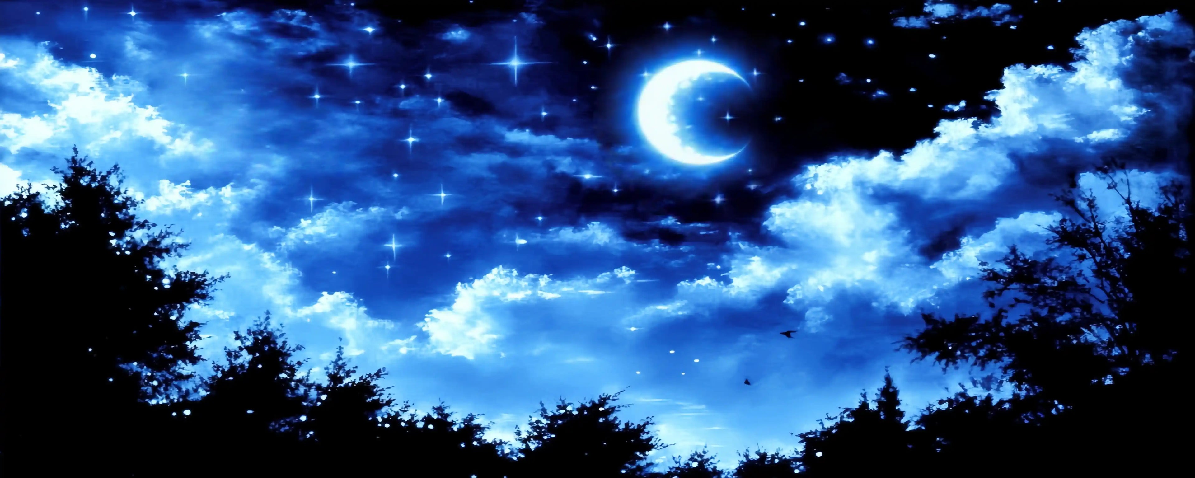 Performance Backdrops: Starry Moonlight Sky – Ballet Scenery for Swan Lake Act II