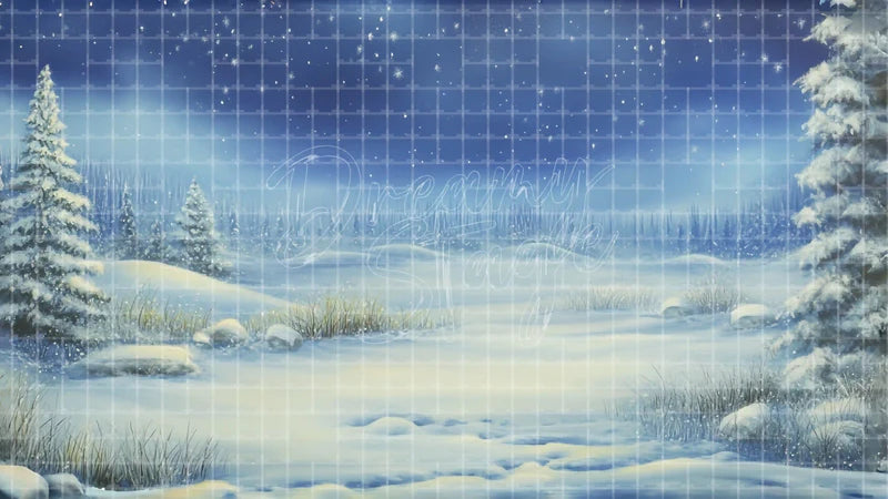 Snowy Landscape Moonlight digital stage backdrop for theatre projection, dance recital, school musical, community theatre, LED screen background, and printable stage scenery. Suitable for Frozen, The Snow Queen, Snow Queen inspired productions,
