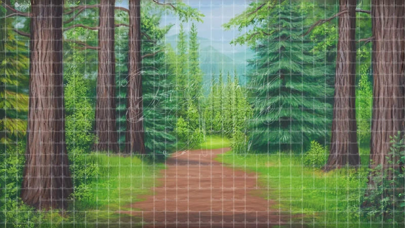 Forest Path With Tall Trees digital stage backdrop for theatre projection, dance recital, school musical, community theatre, LED screen background, and printable stage scenery. Suitable for The Jungle Book, Jungle Book, Tarzan inspired productions,