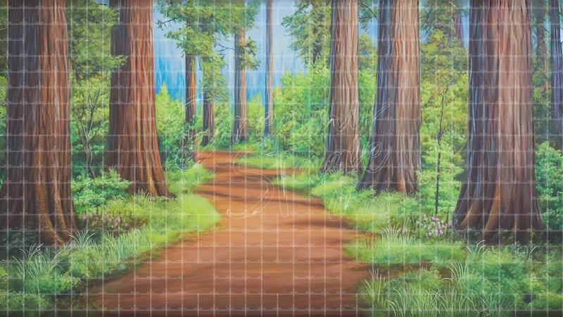 Woodland Trail Green Forest digital stage backdrop for theatre projection, dance recital, school musical, community theatre, LED screen background, and printable stage scenery. Suitable for The Jungle Book, Jungle Book, Tarzan inspired productions,