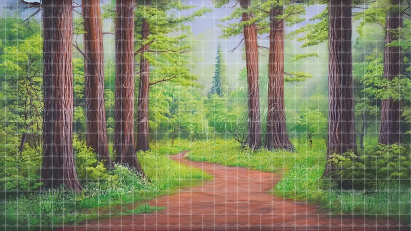 Sunny Forest Path digital stage backdrop for theatre projection, dance recital, school musical, community theatre, LED screen background, and printable stage scenery. Suitable for The Jungle Book, Jungle Book, Tarzan inspired productions,