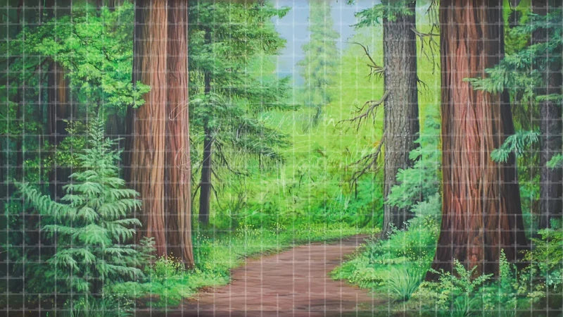 Lush Green Forest Trail digital stage backdrop for theatre projection, dance recital, school musical, community theatre, LED screen background, and printable stage scenery. Suitable for The Jungle Book, Jungle Book, Tarzan inspired productions,