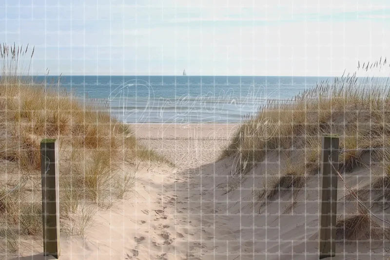 Sandy Dune Beach Path digital decor backdrop and high-resolution summer event background for summer events, beach parties, hotel decor, resort displays, restaurant and bar decor, photo booths, projection, LED screens, and local printing.