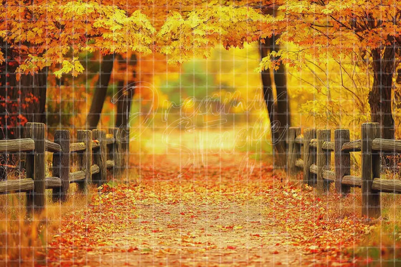 Golden Autumn Fence Path digital decor backdrop, high-resolution fall forest background for fall events, autumn photo booths, pumpkin patch displays, Thanksgiving decor, shop windows, projection, LED screens, digital screens, local printing, and seasonal decor, including instant download artwork for backdrop, background, photo booth, shop window, projection, LED screen, and local printing use.