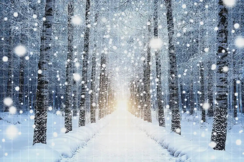 Glowing Snowy Birch Path digital decor backdrop, high-resolution winter forest background for winter events, Christmas photo booths, snowy shop windows, holiday displays, projection, LED screens, digital screens, local printing, and seasonal decor, including instant download artwork for backdrop, background, photo booth, shop window, projection, LED screen, and local printing use.