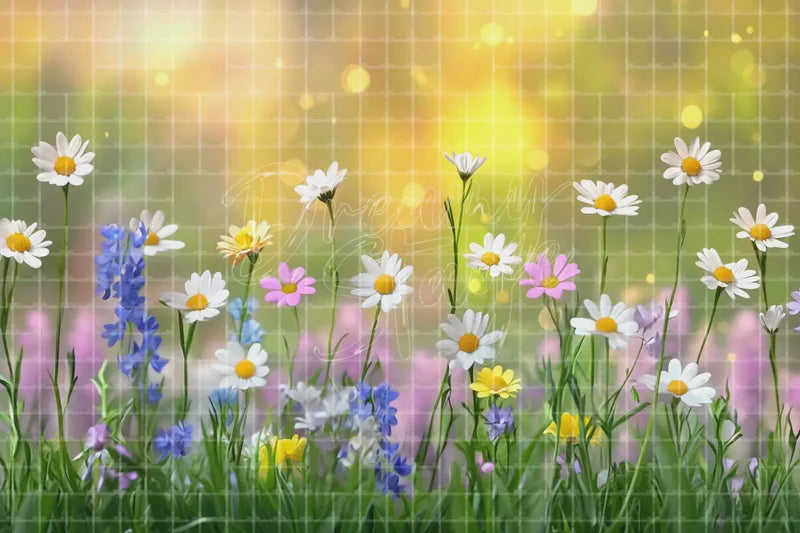 Wild daisy meadow deco backdrop background with bright spring flowers, grass, and warm sunlight for children’s parties, garden photo booths, classroom displays, and nature-themed event decor.
