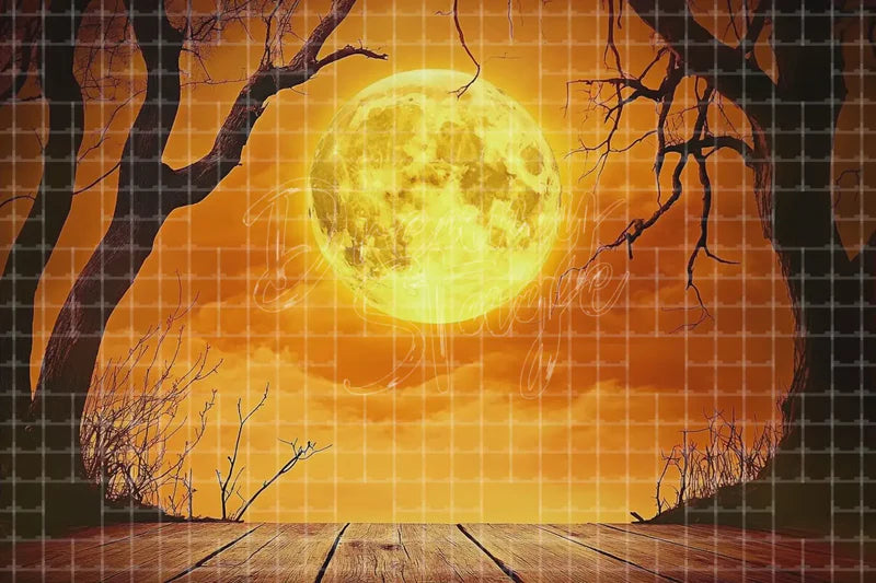 Orange full moon Halloween digital deco backdrop with glowing harvest moon, bare trees, warm orange sky, and spooky forest silhouettes.