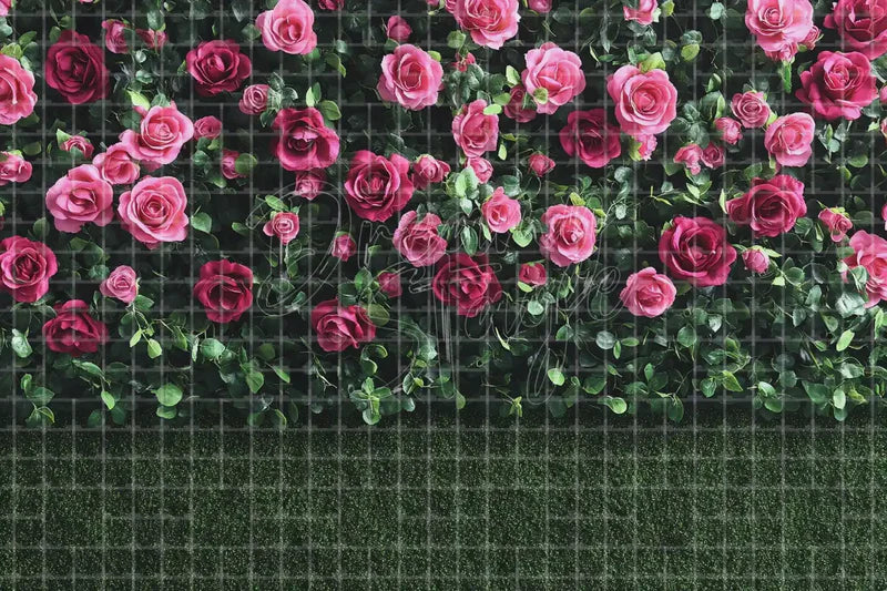 Pink Rose Hedge digital backdrop and photo booth background for Romantic Photo Booth Garden Party Decor and Floral Event Background, ideal for event decor, local printing, projector screens, LED displays, and themed stage backgrounds.
