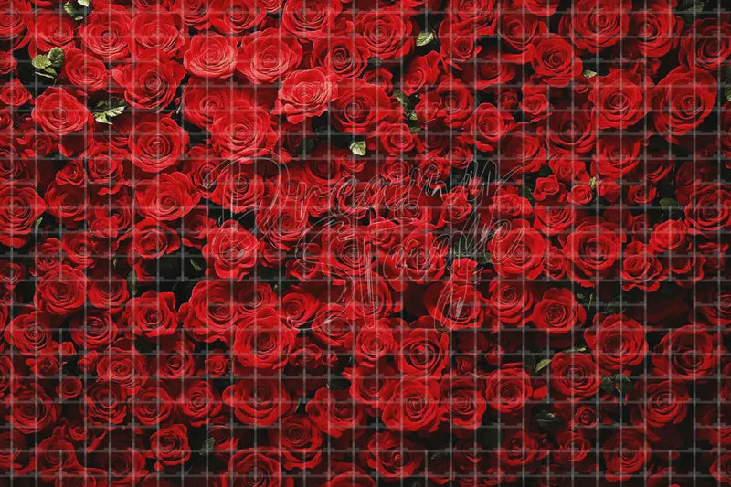 Red Rose Wall digital backdrop and photo booth background for Valentine Photo Booth Romantic Event Decor and Luxury Floral Background, ideal for event decor, local printing, projector screens, LED displays, and themed stage backgrounds.