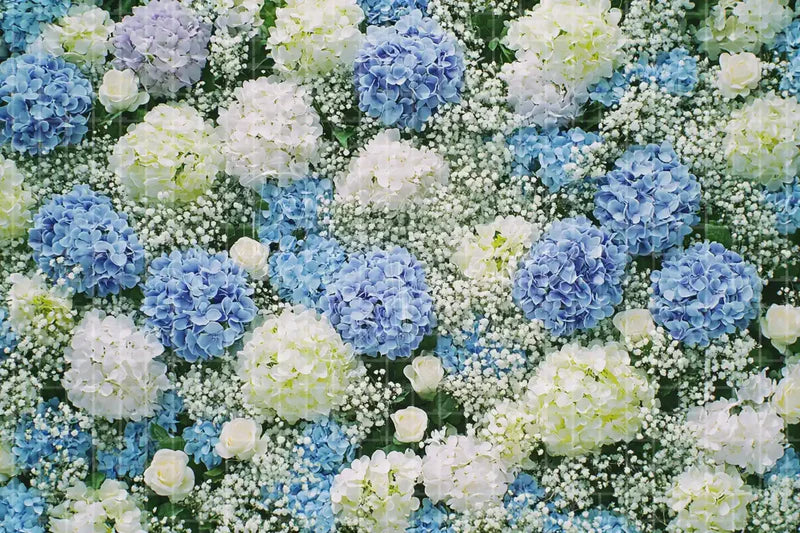 Blue Hydrangea Flower Wall digital backdrop and photo booth background for Wedding Photo Booth Garden Event Decor and Floral Background, ideal for event decor, local printing, projector screens, LED displays, and themed stage backgrounds.